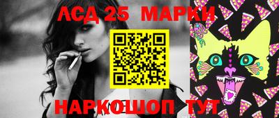 индика Славгород