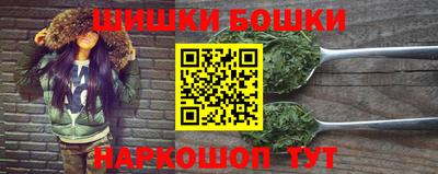 индика Славгород