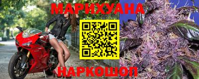 индика Славгород