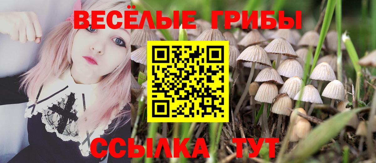 Мценск  Галлюциногенные грибы прущие грибы  Галлюциногенные грибы Magic Shrooms  Вход с VPN 